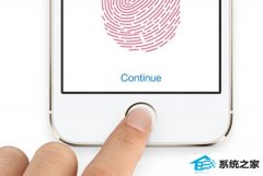 MacBook proذ΢ŭޣ̨ʽҪռTouch id